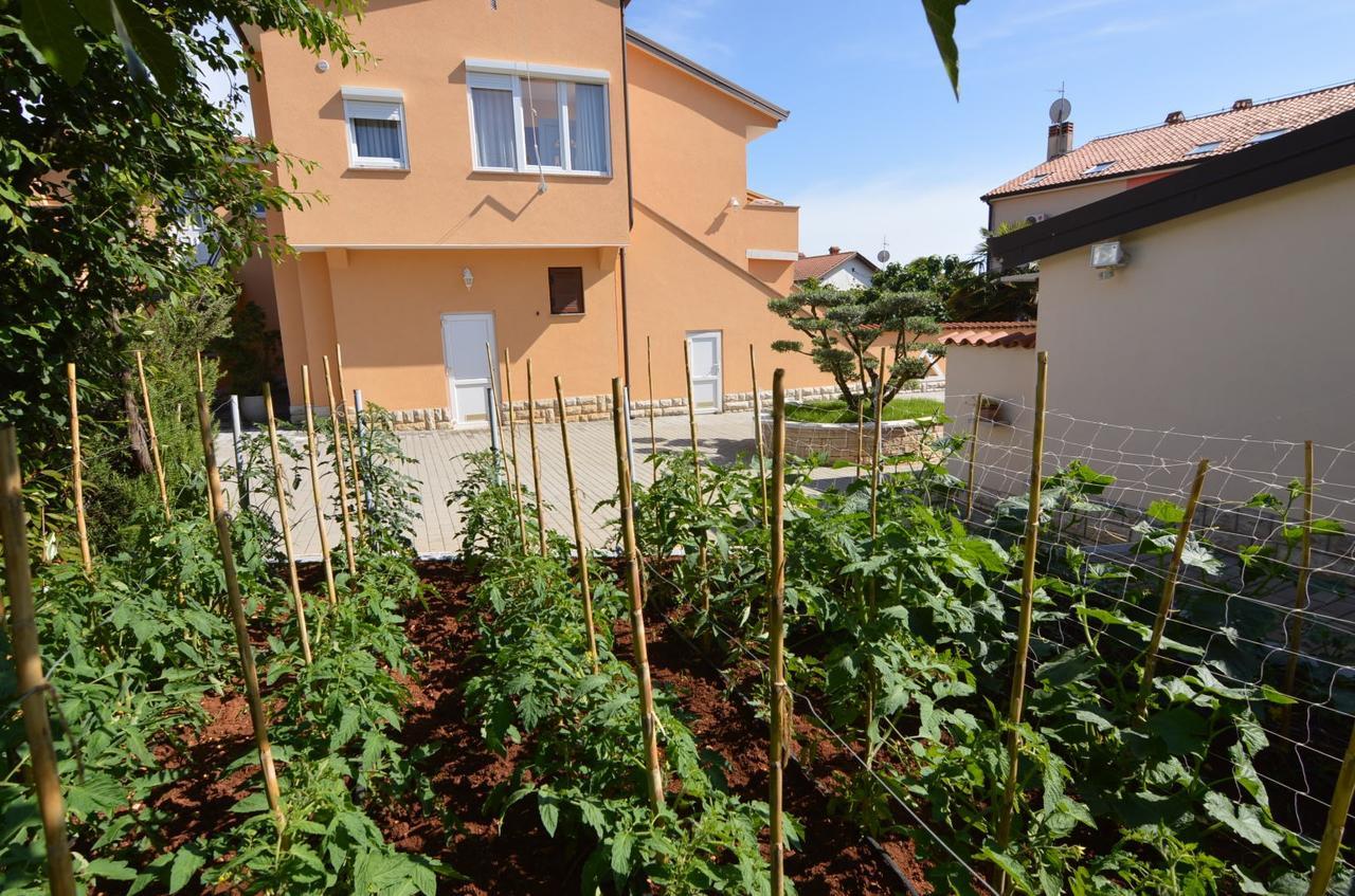 Apartmani Dekovic Materada Porec Exterior photo
